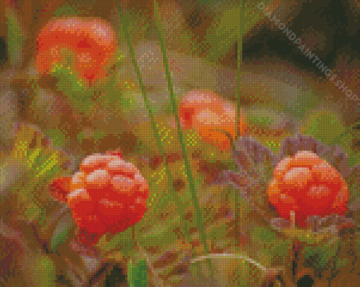 Cloudberries Diamond Paintings