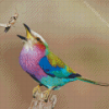 Colorful Roller Bird Diamond Paintings