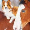 Adorable Horse And Dog Diamond Paintings