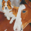 Adorable Horse And Dog Diamond Paintings