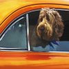 Dog And Orange Car Diamond Paintings