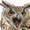 Owl Fierce Art Diamond Paintings
