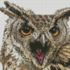 Owl Fierce Art Diamond Paintings