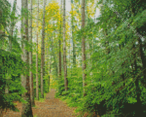 Forest Mountain Trail Diamond Paintings