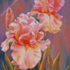 Pink Iris Flowers Art Diamond Paintings