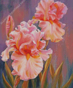 Pink Iris Flowers Art Diamond Paintings