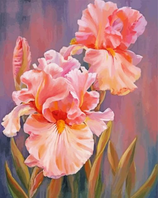 Pink Iris Flowers Art Diamond Paintings