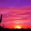 Pink Arizona Desert Sunset Diamond Paintings