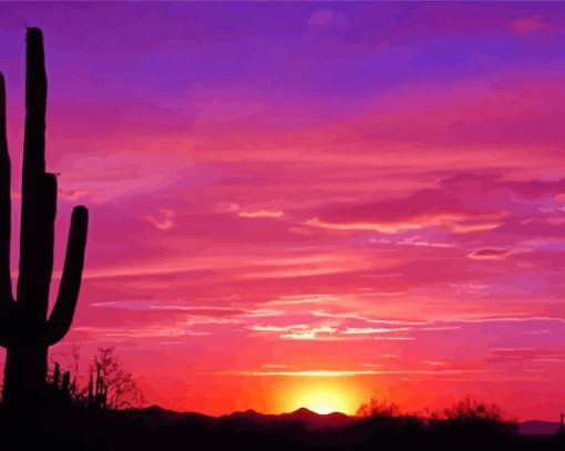 Pink Arizona Desert Sunset Diamond Paintings