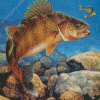 The Walleye Fishing Diamond Paintings