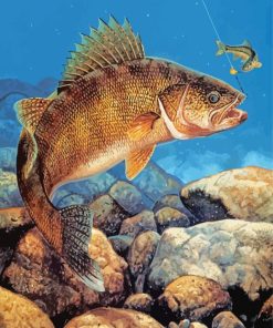 The Walleye Fishing Diamond Paintings