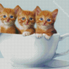 Three Kittens In Cup Diamond Paintings