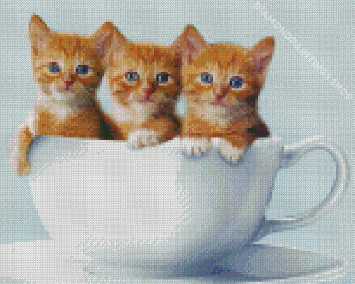 Three Kittens In Cup Diamond Paintings