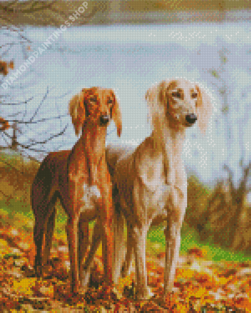 Two Saluki Dogs Diamond Paintings