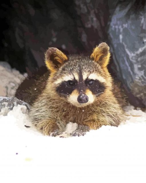 Winter Snow Raccoon Diamond Paintings