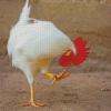 Aesthetic Big White Rooster 5D Diamond Paintings