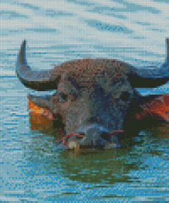 Domestic Water Buffalo Diamond Paintings