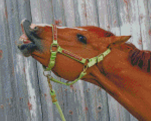Goofy Horse Animal Diamond Paintings