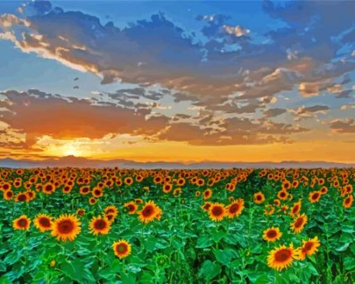 Sunflowers Field Italy Tuscany 5D Diamond Painting