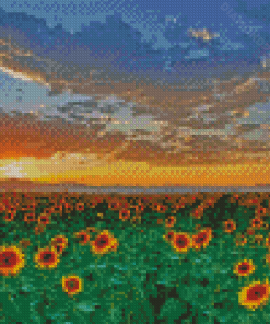 Sunflowers Field Italy Tuscany 5D Diamond Paintings