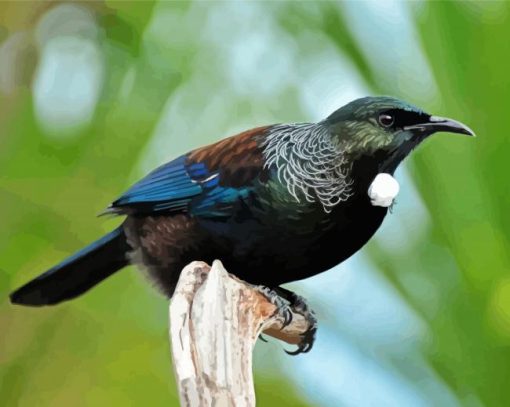 Tui Bird New Zealand 5D Diamond Painting