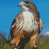 Aesthetic Red Tailed Hawk 5D Diamond Paintings