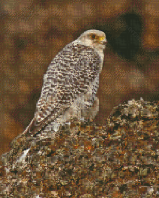 Aesthetic White Gyrfalcon Diamond Paintings