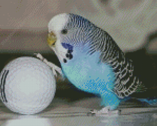 Blue Parakeet And Golf Ball Diamond Paintings