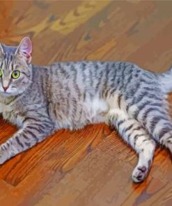 Grey Tabby Cat Animal 5D Diamond Painting