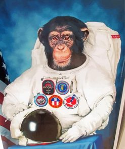 Aesthetic Space Astronaut Chimp Diamond Painting