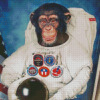 Aesthetic Space Astronaut Chimp Diamond Paintings