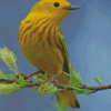 American Yellow Warbler Diamond Paintings