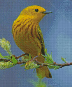 American Yellow Warbler Diamond Paintings