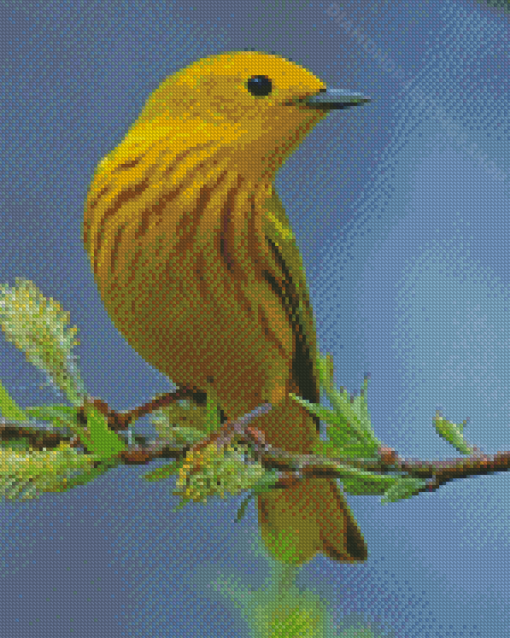 American Yellow Warbler Diamond Paintings