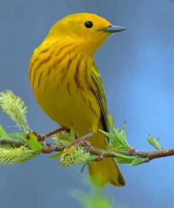 American Yellow Warbler Diamond Painting