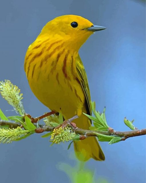 American Yellow Warbler Diamond Painting