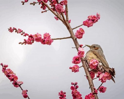 Birds And Blossoms Diamond Painting