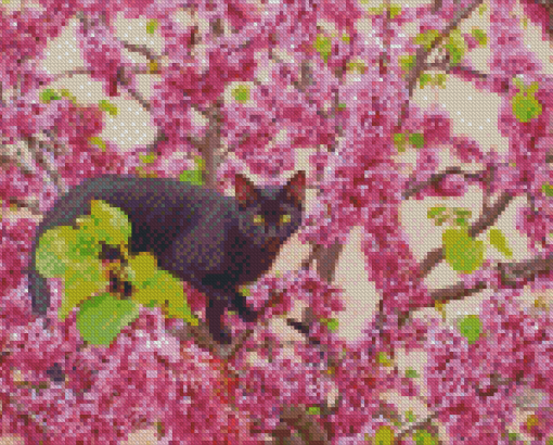 Black Cat In Cherry Tree Diamond Paintings