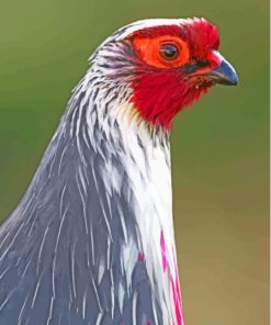 Blood Pheasant Head Diamond Painting