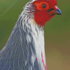 Blood Pheasant Head Diamond Paintings