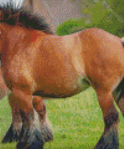 Brown Draft Horse Diamond Paintings