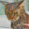 Brown Cat Taking Shower Diamond Painting