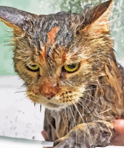 Brown Cat Taking Shower Diamond Painting