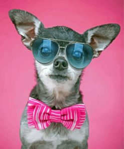 Chihuahua With Glasses And Tie Bow Diamond Painting
