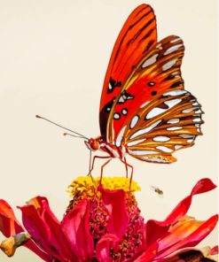Colorful Butterfly On Red Flower Diamond Painting