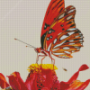 Colorful Butterfly On Red Flower Diamond Paintings