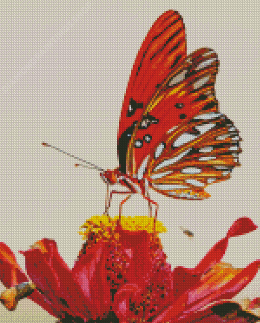 Colorful Butterfly On Red Flower Diamond Paintings