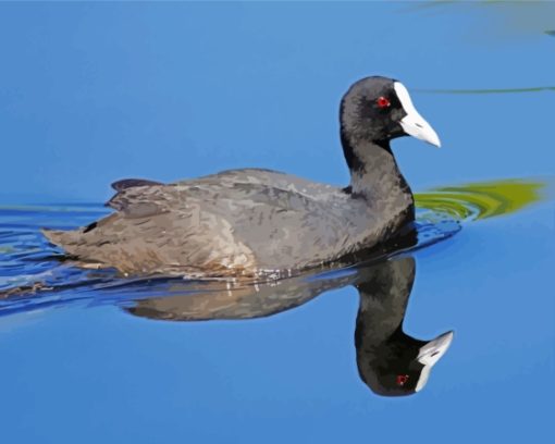 Coots Bird In Lake Diamond Painting