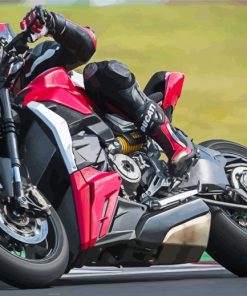Ducati Streetfighter Driver Motorcycle Race Diamond Painting