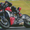 Ducati Streetfighter Driver Motorcycle Race Diamond Paintings